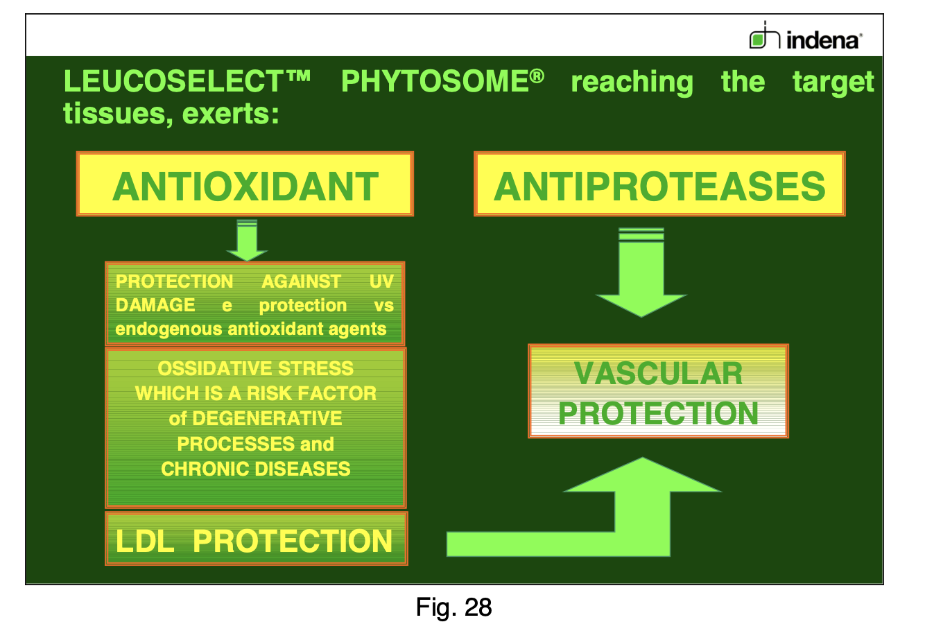 Jambes L&eacute;g&egrave;res